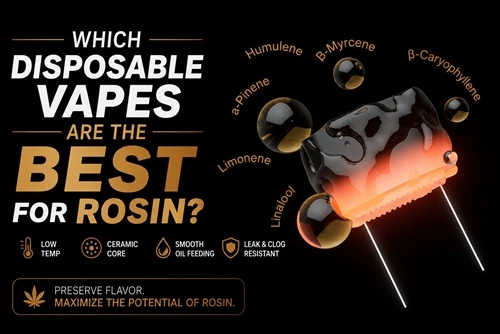 Hangi Tek Kullanımlık Elektronik Sigaralar Rosin İçin En İyisidir?